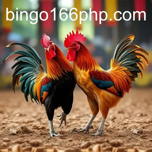 Exploring the World of Online Sabong with BinGo166.COM