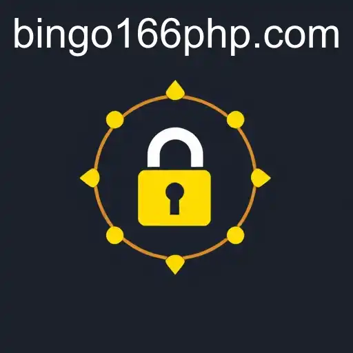 Understanding Privacy Policy: The Case of BinGo166.COM